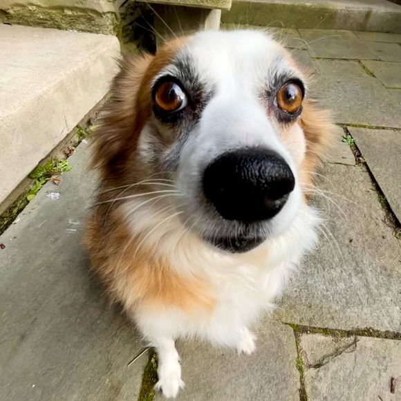 Meet your Posher, Hannah - Picture 3 of 5